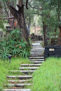 The steps of Esalen, one of the places we host women's retreats and workshops